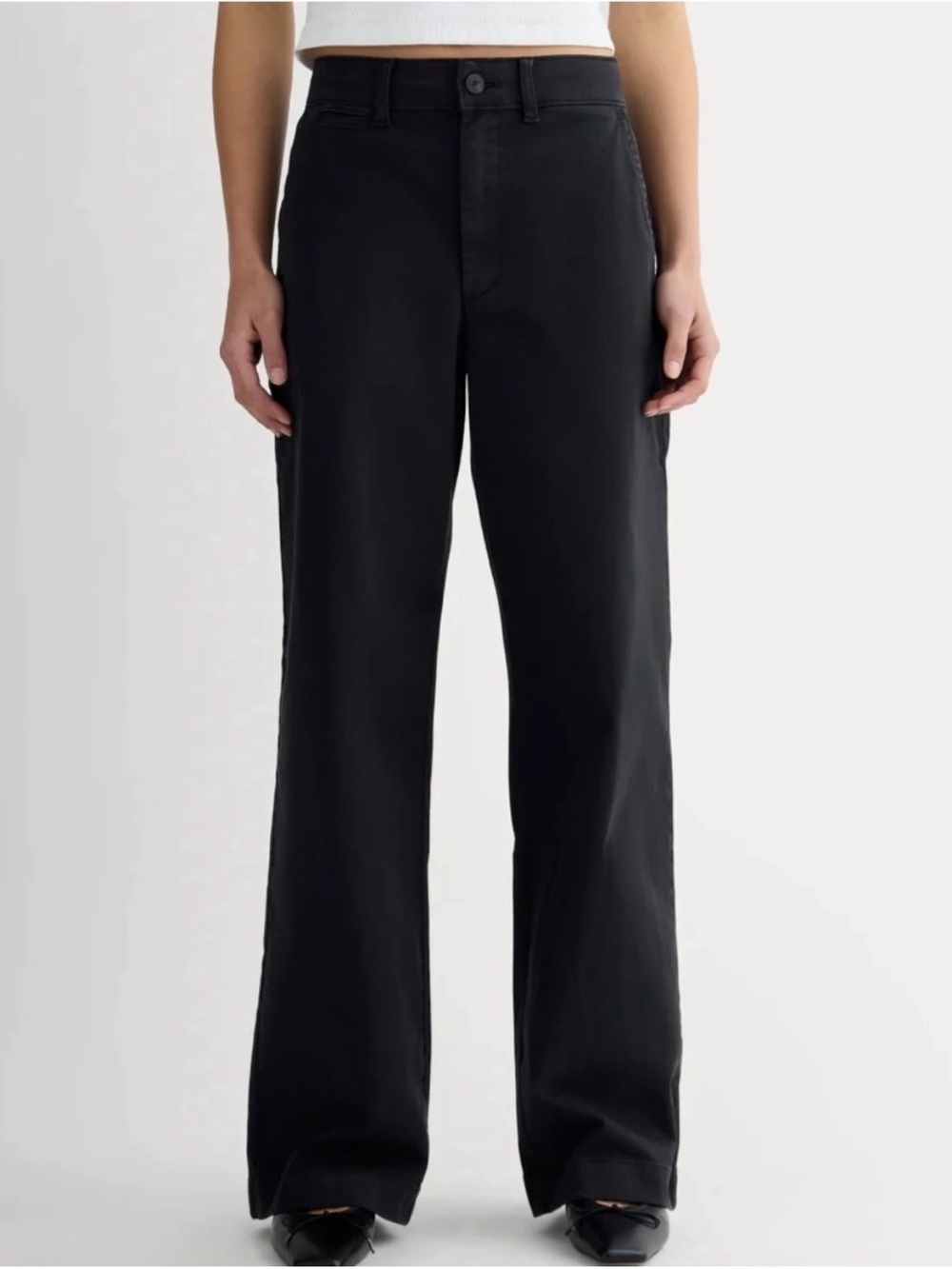 Everlane The Wide Leg Chino